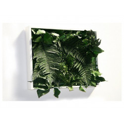 Tableau végétal stabilise matigreen 60 x 60 cm