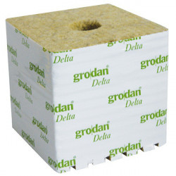 Cubes de laine de roche 15x15x13 à l'unité - Grodan