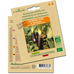 Semillas orgánicas de Berenjena de barbentane - La semilla orgánica