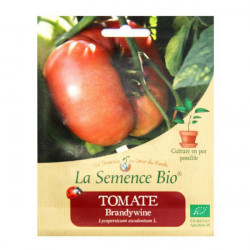 Semillas ecológicas Tomate Brandywine 20gn de Semillas Orgánicas