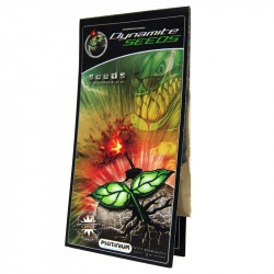 Dynamite Seeds 1g - Stimulateur pour graines - Platinium