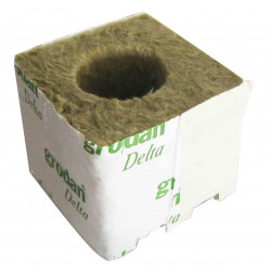 Cubes de laine de roche 100x100x65 par 10 Ø40/35mm - Grodan