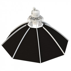 Reflector Daisy paraguas HPS y el CFL DY60 - jardín Secreto