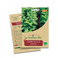 Graines Chou Kale Halboher - 80 graines - La Semence Bio