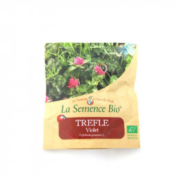 Graines bio - Trèfle Violet 75gn - La Semence Bio