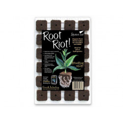 Plug Root riot x 24 - Bouturage et germination - Growth technology