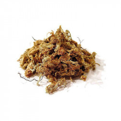 Musgo Sphagnum de Chile - Bolsa de 500 g