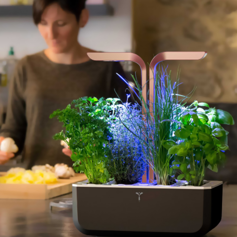 Potager de cuisine Smart Soft Black Véritable + 4 Lingots offerts.