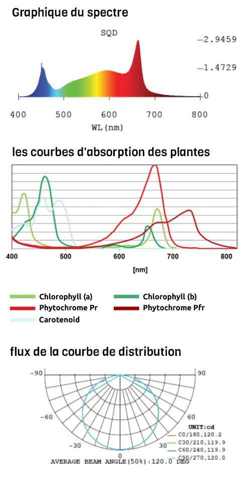 courbe-Led100wGraph.jpg