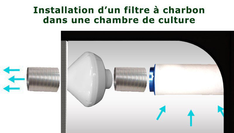 Le filtre à charbon : Le guide