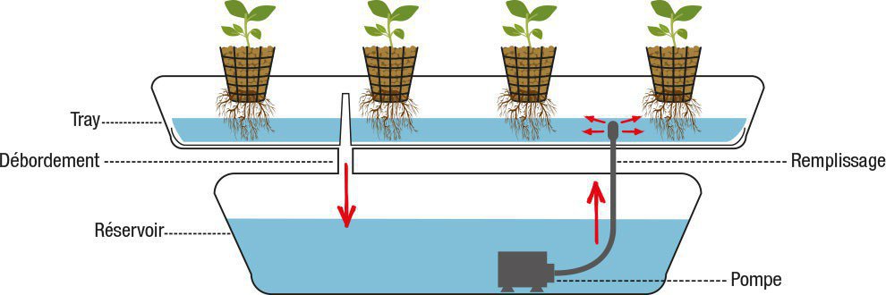 Systèmes et accessoires pour la culture hydroponique