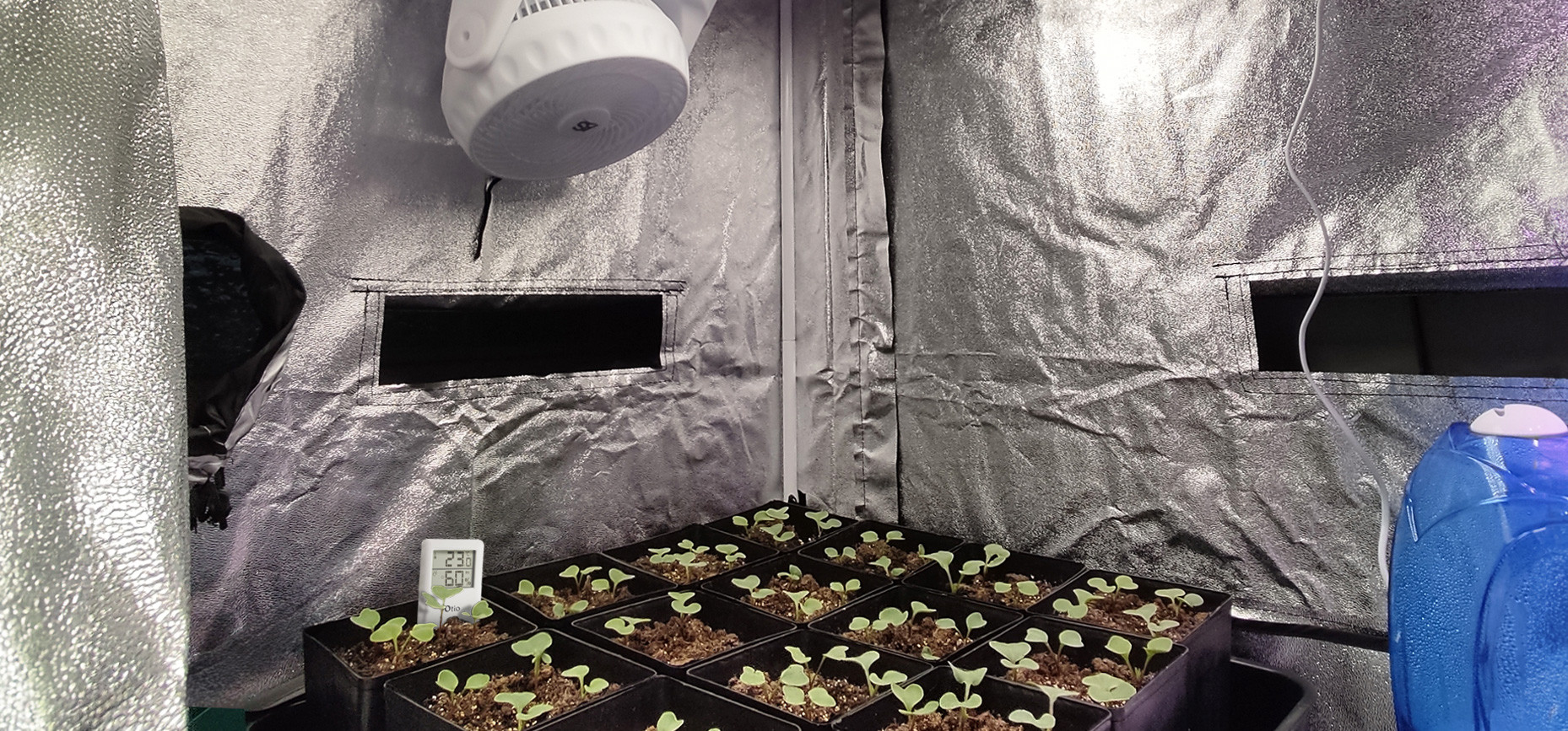 Optimizing ventilation and climate in indoor cultivation