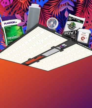 Banner pour les soldes d'été 2025 sur le site growshops.fr