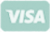 Logo Visa